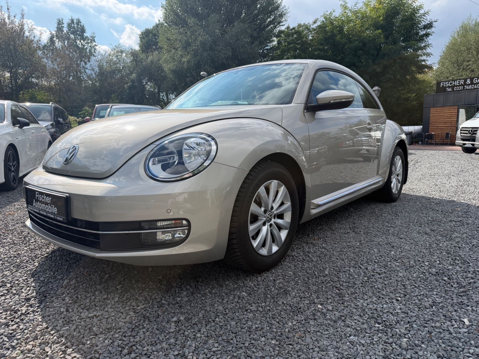 VW Beetle Lim. Design+KLIMATRONIK+PDC+SITZ.H+, Bild 1 von 14